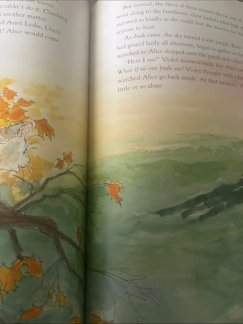 Violet Goes to the Country is a children's picture book written by Melanie Cecka